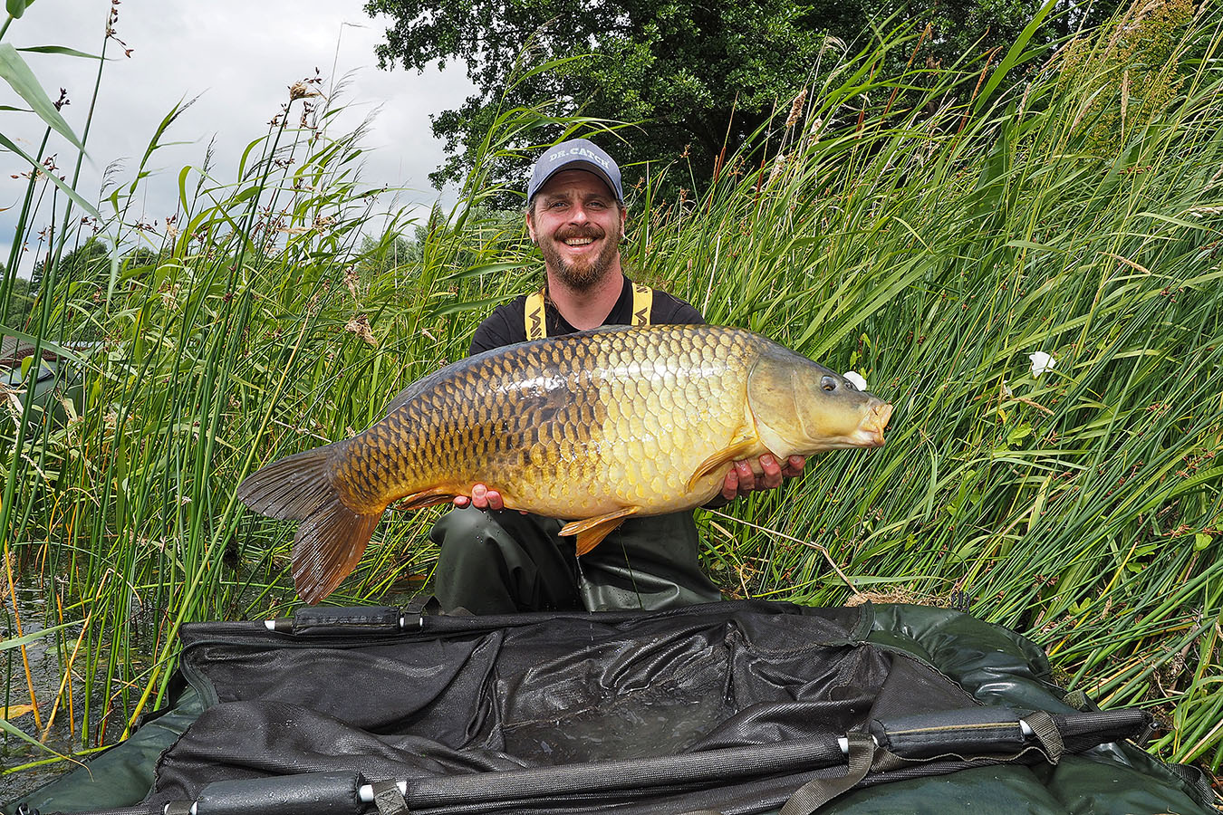 Karpfenmeister Verkäufe -Karpfenmeister Verkäufe karpfenangeln im sommer summer carp fishing